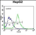FNDC7 Antibody in Flow Cytometry (Flow)