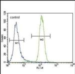 UGT2B15 Antibody in Flow Cytometry (Flow)