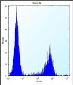 MAN2A2 Antibody in Flow Cytometry (Flow)