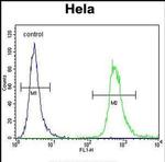 WDR3 Antibody in Flow Cytometry (Flow)
