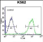 ZNF623 Antibody in Flow Cytometry (Flow)