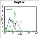 RPL15 Antibody in Flow Cytometry (Flow)