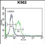 DOC2A Antibody in Flow Cytometry (Flow)