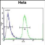 SCHIP1 Antibody in Flow Cytometry (Flow)