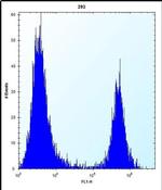 FKBP7 Antibody in Flow Cytometry (Flow)