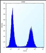 RNF11 Antibody in Flow Cytometry (Flow)