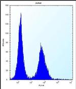 DNAJC9 Antibody in Flow Cytometry (Flow)