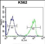 GIF Antibody in Flow Cytometry (Flow)