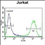 ZSCAN2 Antibody in Flow Cytometry (Flow)