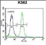 RAB3d Antibody in Flow Cytometry (Flow)