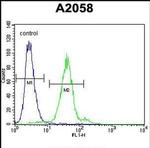 TEX261 Antibody in Flow Cytometry (Flow)