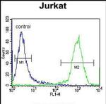 HJURP Antibody in Flow Cytometry (Flow)
