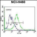 Pellino 3 Antibody in Flow Cytometry (Flow)