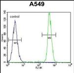HN1 Antibody in Flow Cytometry (Flow)