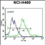 BEND4 Antibody in Flow Cytometry (Flow)