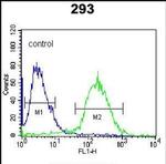 NAP1L1 Antibody in Flow Cytometry (Flow)