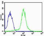 FBXL17 Isoform 2 Antibody in Flow Cytometry (Flow)