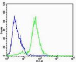 FXYD6 Antibody in Flow Cytometry (Flow)