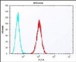 ERAS Antibody in Flow Cytometry (Flow)