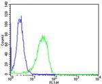 MTTP Antibody in Flow Cytometry (Flow)