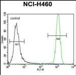 USP6 Antibody in Flow Cytometry (Flow)