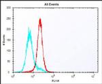 HLA-DQA1 Antibody in Flow Cytometry (Flow)