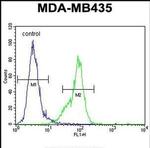 MECP2 Antibody in Flow Cytometry (Flow)