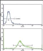 GMPS Antibody in Flow Cytometry (Flow)