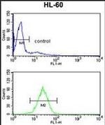 HSD17B7 Antibody in Flow Cytometry (Flow)
