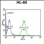 Apolipoprotein L4 Antibody in Flow Cytometry (Flow)