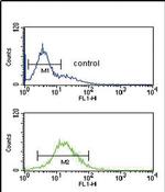 Granzyme M Antibody in Flow Cytometry (Flow)