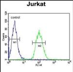 ALAD Antibody in Flow Cytometry (Flow)