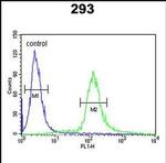 EPS8L3 Antibody in Flow Cytometry (Flow)