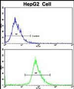 RPS15 Antibody in Flow Cytometry (Flow)