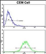 HMHA1 Antibody in Flow Cytometry (Flow)
