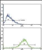 NAT2 Antibody in Flow Cytometry (Flow)