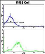 LPIN2 Antibody in Flow Cytometry (Flow)