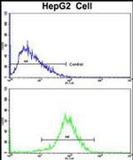 HPD Antibody in Flow Cytometry (Flow)