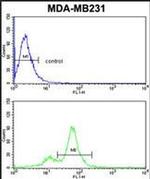 CYP2A13 Antibody in Flow Cytometry (Flow)