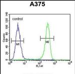 DSC1 Antibody in Flow Cytometry (Flow)