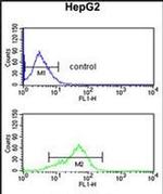 BANK1 Antibody in Flow Cytometry (Flow)
