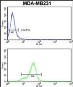AGPAT4 Antibody in Flow Cytometry (Flow)