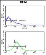 GPANK1 Antibody in Flow Cytometry (Flow)