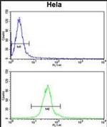DERL1 Antibody in Flow Cytometry (Flow)