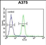 DERA Antibody in Flow Cytometry (Flow)
