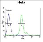 CTPS2 Antibody in Flow Cytometry (Flow)