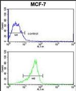 RASL11B Antibody in Flow Cytometry (Flow)