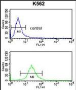 SLC3A1 Antibody in Flow Cytometry (Flow)