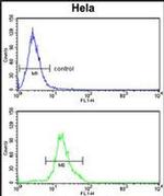 DOLK Antibody in Flow Cytometry (Flow)
