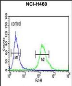 ALG14 Antibody in Flow Cytometry (Flow)